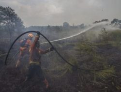 Kabut Asap Mulai Selimuti Kalimantan, PTPN IV PalmCo Perketat Patroli dan Mitigasi Karhutla di 4 Provinsi