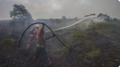 Kabut Asap Mulai Selimuti Kalimantan, PTPN IV PalmCo Perketat Patroli dan Mitigasi Karhutla di 4 Provinsi