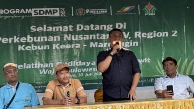 PTPN IV Keera: Kunci Harga TBS Tinggi Ada pada Penerapan Budidaya Sesuai Standar