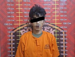 Mesin Pompa Air Dicuri, Polisi Tangkap Seorang Pria di Menggala